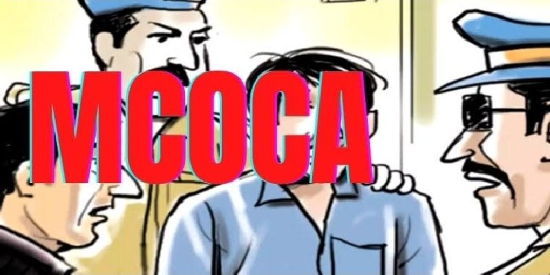 Mocca action on three criminal gangs in nagpur | नागपुरात गुन्हेगारांच्या तीन मोठ्या टोळ्यांवर मोक्का कारवाई