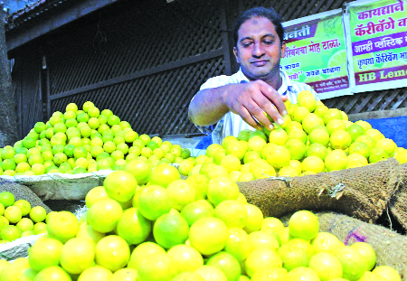 Cothibari pile at Rs. 20 Lemon prices dropped | कोथिंबिरीची पेंढी २० रुपयांवर; लिंबूचे दर घसरले