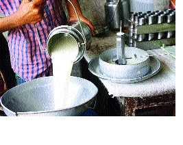 Milk subsidy 'Swabhimani' on the road | दूध अनुदानप्रश्नी ‘स्वाभिमानी’ रस्त्यावर