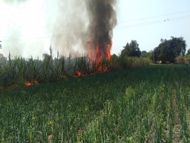 Destroy two acres of sugarcane due to short circuit of electricity | विजेच्या शॉर्टसर्कीटमुळे दोन एकर ऊस खाक