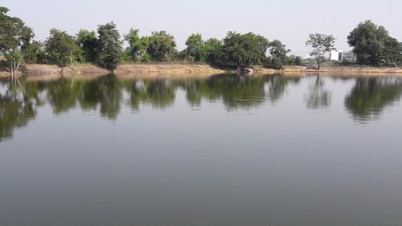 Central Environment Department sanctioned to Koradi Lake conservation Scheme | कोराडी तलाव संवर्धन योजनेला केंद्रीय पर्यावरण विभागाची मंजुरी
