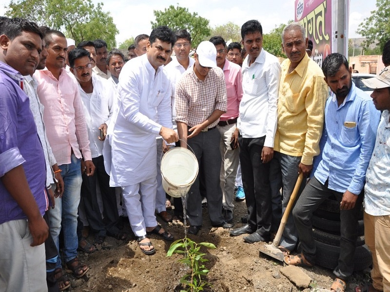Make the district green with trees: Ram Shinde | वृक्षलागवडीने जिल्हा हिरवागार करा : राम शिंदे