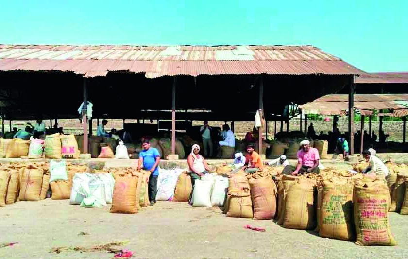 Farmers Gajabjali Agricultural Produce Market Committee | शेतकर्‍यांनी गजबजली कृषी उत्पन्न बाजार समिती