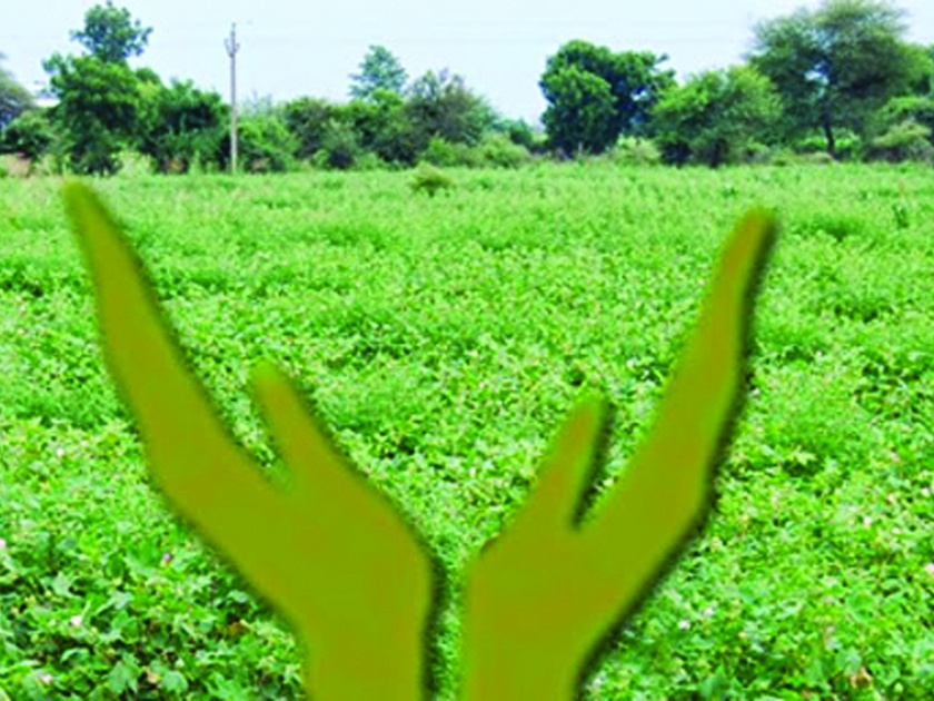 Agriculture Swavalamban and Krushi Kranti Yojana have become known only as FARS | कृषी स्वावलंबन व कृषी क्रांती योजना ठरली केवळ फार्स