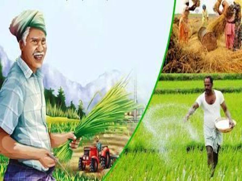 Agricultural festival in Sellapur from 5th to 9th March information of district officials | साेलापुरात ५ ते ९ मार्चदरम्यान कृषी महाेत्सव, जिल्हाधिकाऱ्यांची माहिती