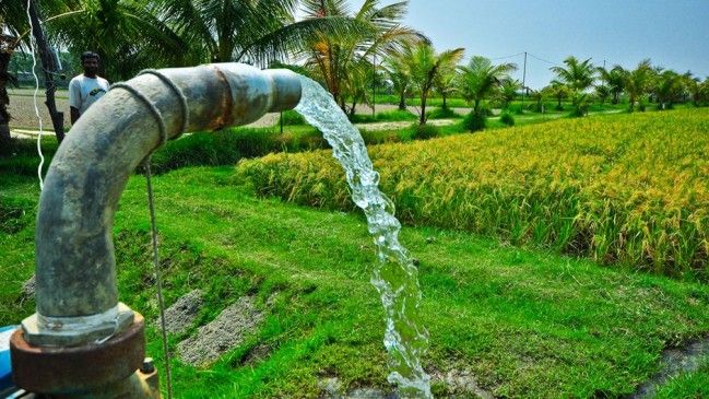 Energy of Vidarbha 1.84 lakh agricultural pumps in five years | पाच वर्षात विदर्भातील १.८४ लाख कृषीपंपांचे ऊर्जीकरण