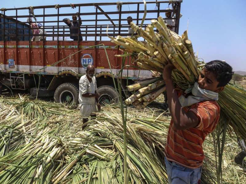2790 crores for the sugar industry, help from the Central Government before the announcement of elections | लोकसभेसाठी 'साखर पेरणी'; मोदी सरकारकडून कारखान्यांसाठी 'गोड' बातमी