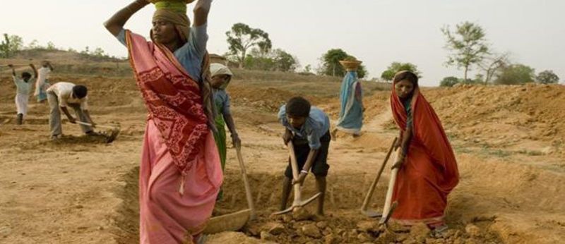 The number of laborers on MNREGA's works decreased | बुलडाणा जिल्ह्यात रोहयोच्या कामांवर मजुरांची संख्या रोडावली