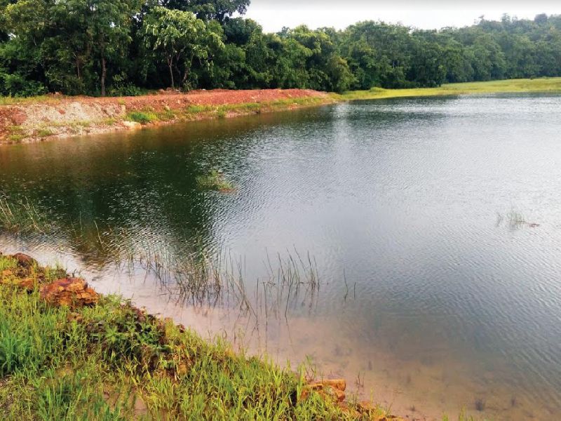 55 percent water storage in dams in Neera valley; 20 percent less stock than last year | नीरा खोऱ्यातील धरणांत ५५ टक्के पाणीसाठा; गेल्या वर्षीपेक्षा २० टक्के साठा कमी