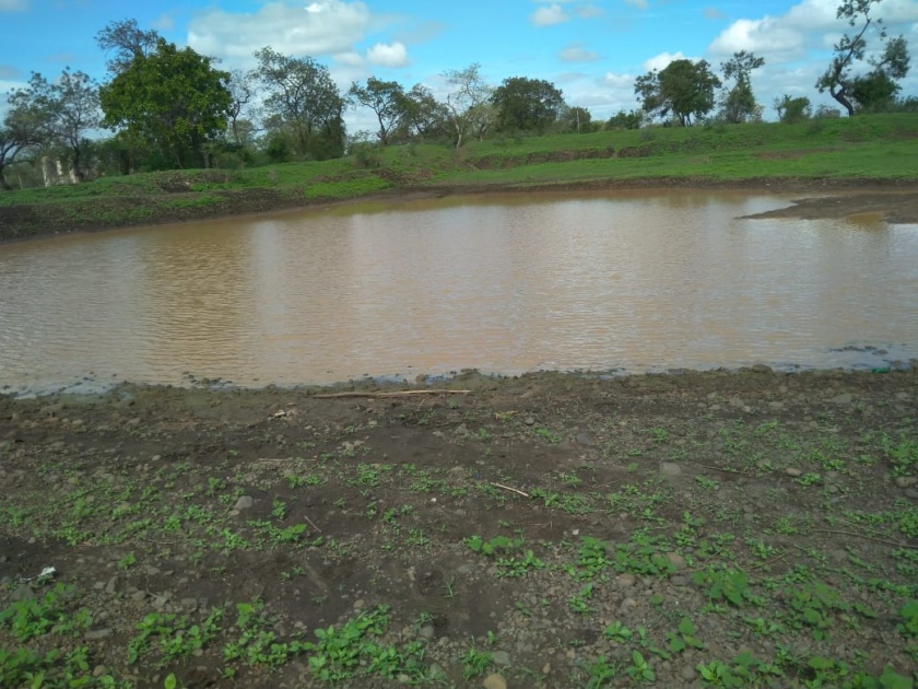 Increase in water level due to pond revival | तलावाच्या पुनरुज्जीवनामुळे पाणी पातळीत वाढ