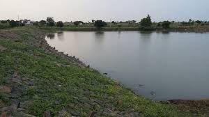 Give water to the village of Kapash lake! | कापशी तलावाचे पाणी माझोड गावाला द्या!