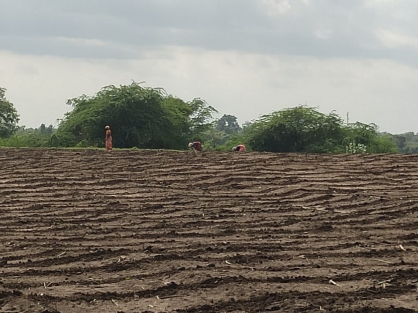 In Gadchiroli, farmers are preparing soil for farming | गडचिरोलीत पेरणीपूर्व शेत मशागतीच्या कामाला आला वेग