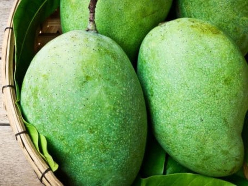 Where does the langra mango get its name from | लंगडा आंब्याचं नाव 'लंगडा' कसं पडलं असेल बरं? जाणून घ्या उत्तर