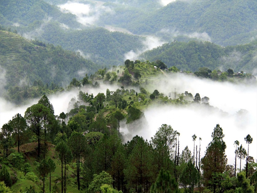 Enjoy forest Nature, Trekking in Lansdowne Uttarakhand | एकाच ठिकाणी थांबून सुट्टी एन्जॉय करायचीय? लॅंसडाउन ठरेल परफेक्ट आणि पैसा वसूल डेस्टिनेशन!
