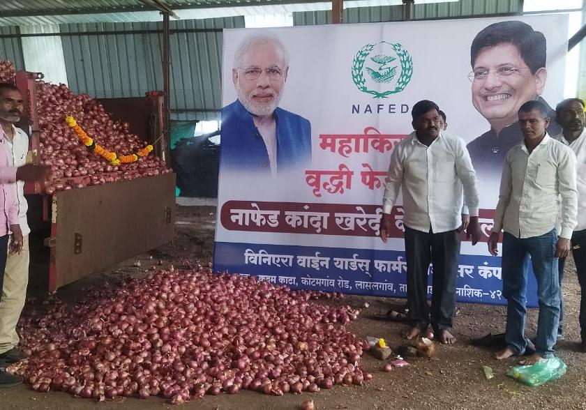 onion purchase of nafed started in lasalgaon | लासलगावी नाफेडच्या कांदा खरेदीस प्रारंभ