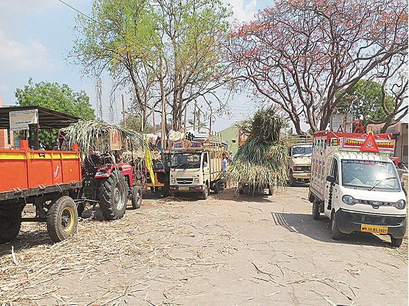 In the drought-hit Marathwada, the farmers depend on Ahmednagar's sugarcane for their animals | दुष्काळी मराठवाड्यात शेतकरी जनावरांच्या चाऱ्यासाठी अहमदनगरच्या उसावर अवलंबून