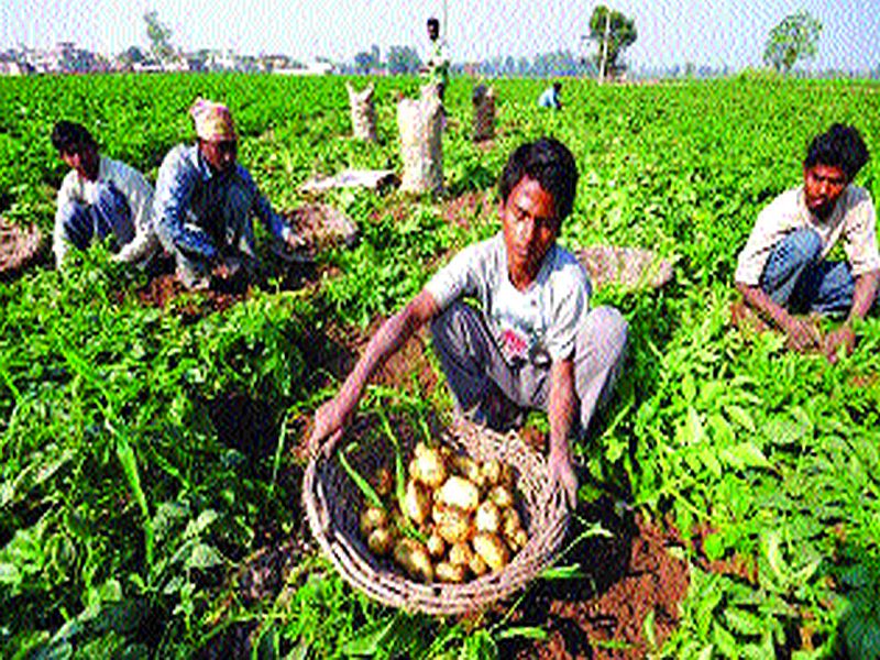 Budget 2020: Inadequate provision for agriculture | Budget 2020: कृषीसाठीच्या तरतुदी अपुऱ्या