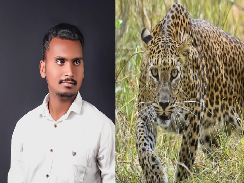 Rescue of a youth from the clutches of a leopard at Rethere Dam sangli | Sangli: रेठरे धरण येथील युवकाची बिबट्याच्या तावडीतून सुटका