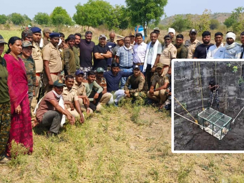 A leopard fell into a well in Bhuli area of Manera taluka; The forest department made a safe escape | मानाेरा तालुक्यातील भुली परिसरात विहिरीत पडला बिबट्या; वनविभागाने केली सुखरुप सुटका