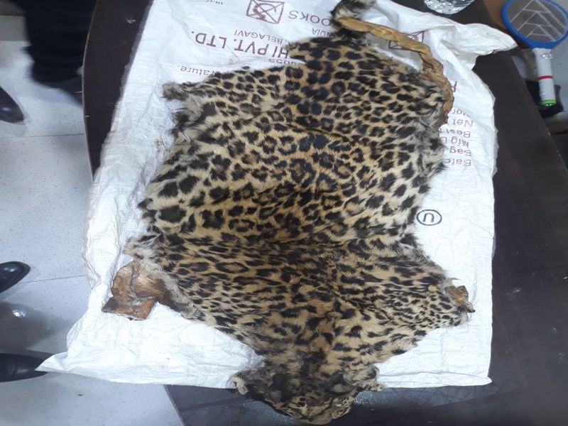 Three of the three who came to sell leopard skins are bound in Ulhasanagar | बिबट्याची कातडी विकण्यासाठी आलेल्या तिघांना उल्हासनगरात बेड्या