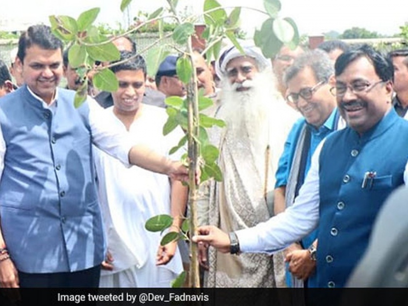 Inquiry into planting of 33 crore trees during Fadnavis government; Ajit Pawar told | फडणवीस सरकारच्या काळातील 33 कोटी वृक्ष लागवडीची चौकशी