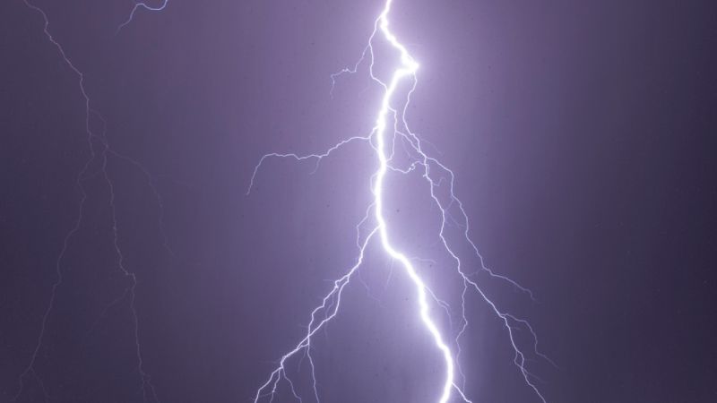Lightning kills four in Telhara and Akot taluka | तेल्हारा व अकोट तालुक्यात वीज कोसळून चार जण ठार