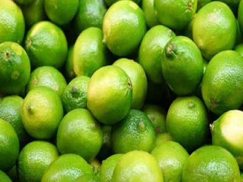 Traders refuse to buy lemons in Shrigonda; The trade market committee's argument came to an end | श्रीगोंद्यात लिंबू खरेदीस व्यापा-यास नकार; व्यापारी-बाजार समितीचा वाद टोकाला