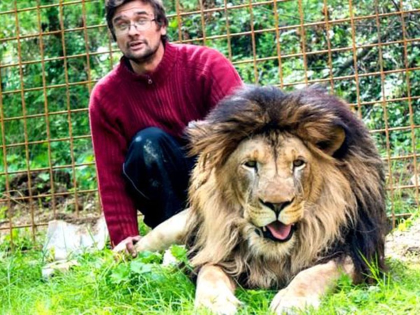 Pet lions killed after mauling czech man who illegally kept them in his backyard | सर्वांशी भांडून घरात पाळले होते वाघ, त्यांनीच घेतला मालकाचा जीव!