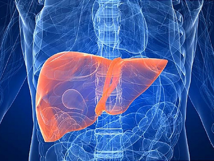 Easy ways to avoid liver diseases | लिव्हरसंबंधी आजारांपासून बचाव करण्याचे सोपे उपाय!