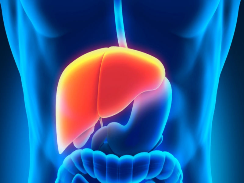 Symptoms indicate liver damage, if not treated in time, this is the last resort | यकृत खराब झाल्याचा संकेत देतात लक्षण, वेळीच उपचान न घेतल्यास उरतो 'हा' शेवटचा पर्याय