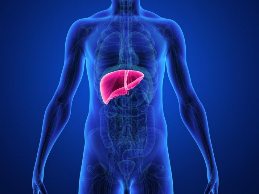 10% of 580 people have liver fats in Mumbai | ५८० व्यक्तींपैकी १० टक्के मुंबईकरांचे यकृत चरबीयुक्त