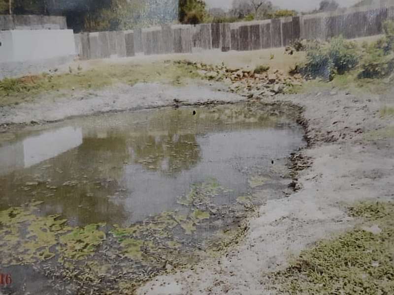 No action was taken by the Collector and Municipal Commissioner even after the government pond at Varsawi was stolen by landowners | भूमाफियांनी सरकारी तलाव चोरला, जिल्हाधिकारी व महापालिका आयुक्तांची अळीमिळी गुपचिळी
