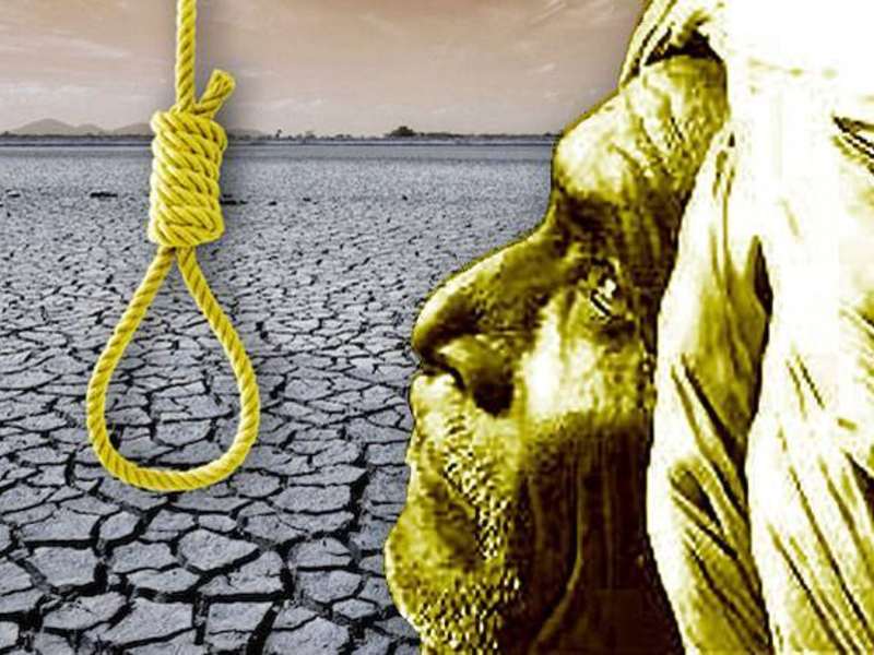 Shocking Farmer suicides increased by 91 percent in Maharashtra, almost half of victims' families receive no compensation, | धक्कादायक ! शेतकरी आत्महत्येचं प्रमाण 91 टक्क्यांनी वाढलं, 43 % पीडित कुटुंबीय मदतीविनाच