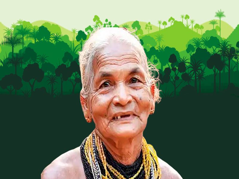 Padma Shri has been announced for Tulsi Gowda in Karnataka | 'जंगलाच्या एन्सायक्लोपिडिया'ला पद्मश्री; 'हिरवंगार' काम पाहून प्रसन्न वाटेल!
