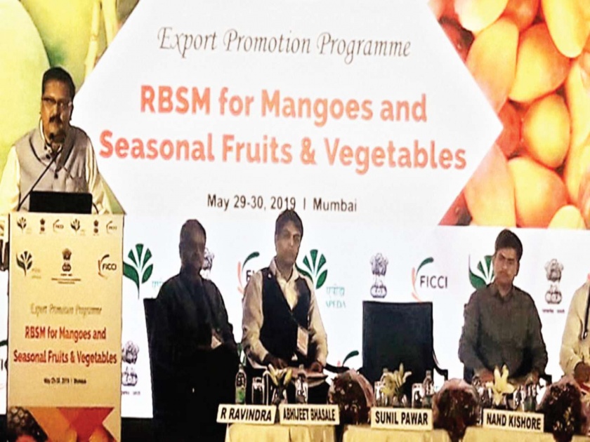 Commodity buyer and supplier meeting successful; Discussion on mangoes and vegetables | शेतमाल खरेदीदार व पुरवठादार संमेलन यशस्वी; आंबा व भाजीपाला खरेदी-विक्रीवर चर्चा
