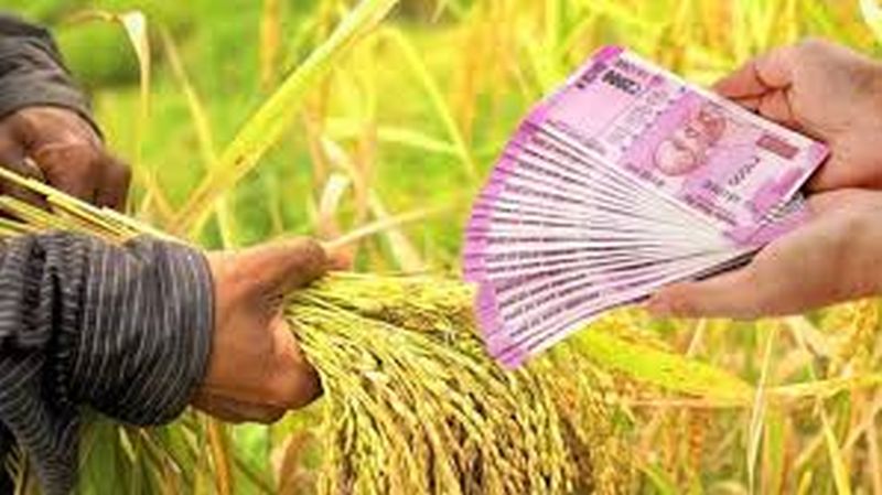 Banks charge for recovery of crop loans | पीककर्जाच्या वसुलीसाठी बँकांचा तगादा