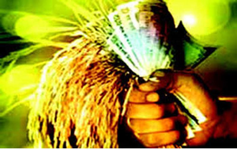 59,000 farmers did not get crop loan! | ५९ हजार शेतकऱ्यांना मिळाले नाही पीक कर्ज!