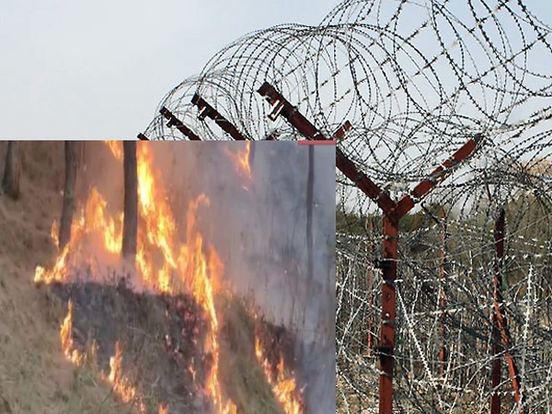 Fierce forest fire near LOC, several landmines explode | LOCनजिकच्या जंगलामध्ये भीषण आग, अनेक भूसुरुंगांचा झाला स्फोट  