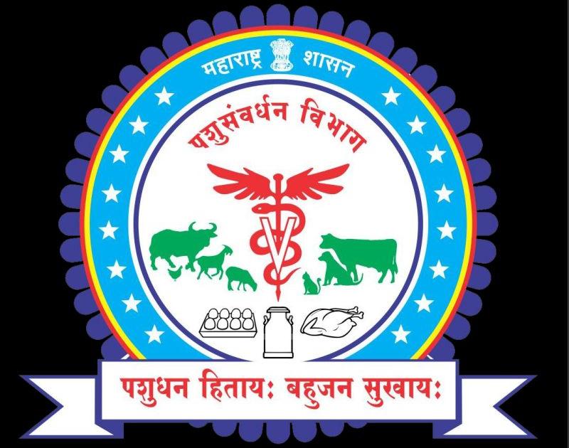 Fill vacancies of Maharashtra Livestock Development Board | महाराष्ट्र पशुधन विकास मंडळातील रिक्त पदे भरा