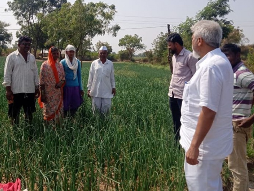 Agriculture Minister Dada Bhushe approached the farmers | अन् कृषिमंत्री पोहचले थेट शेतकऱ्यांच्या बांधावर