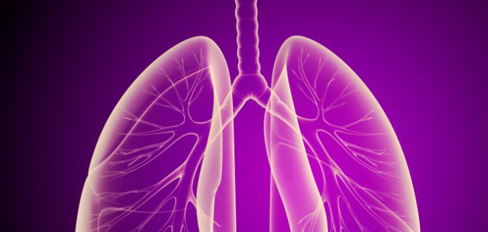 Lung cancer is the highest death toll in the world | जगात सर्वाधिक मृत्यू फुफ्फुसाच्या कर्करोगाने