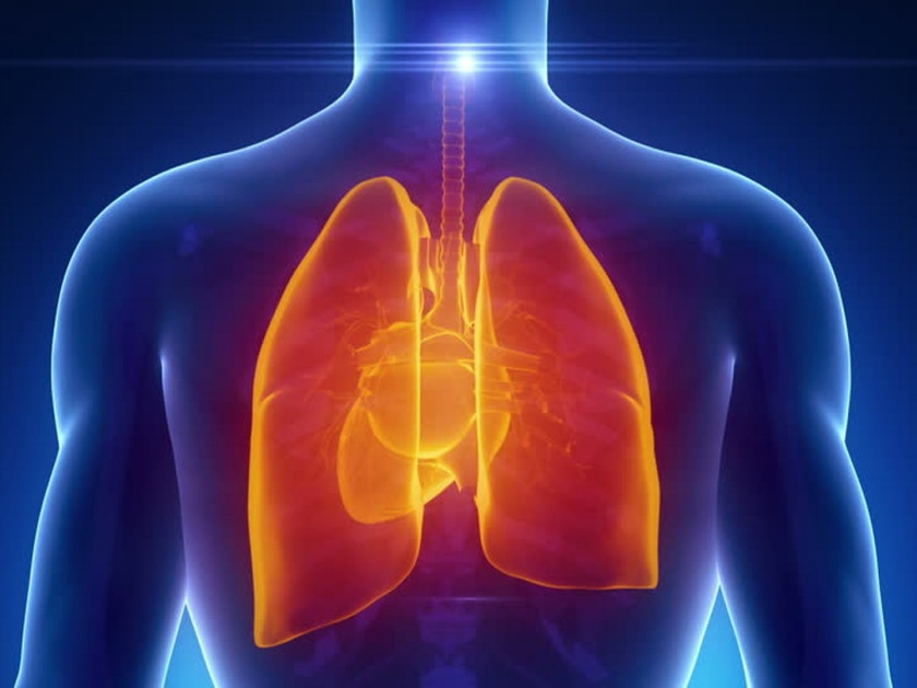 Air pollution makes your lungs age faster causes chronic pulmonary disease says study | 'या' कारणाने ४५ वर्षाच्या व्यक्तीचं फुप्फुस ६१ वर्षांच्या व्यक्तीसारखं काम करतंय!