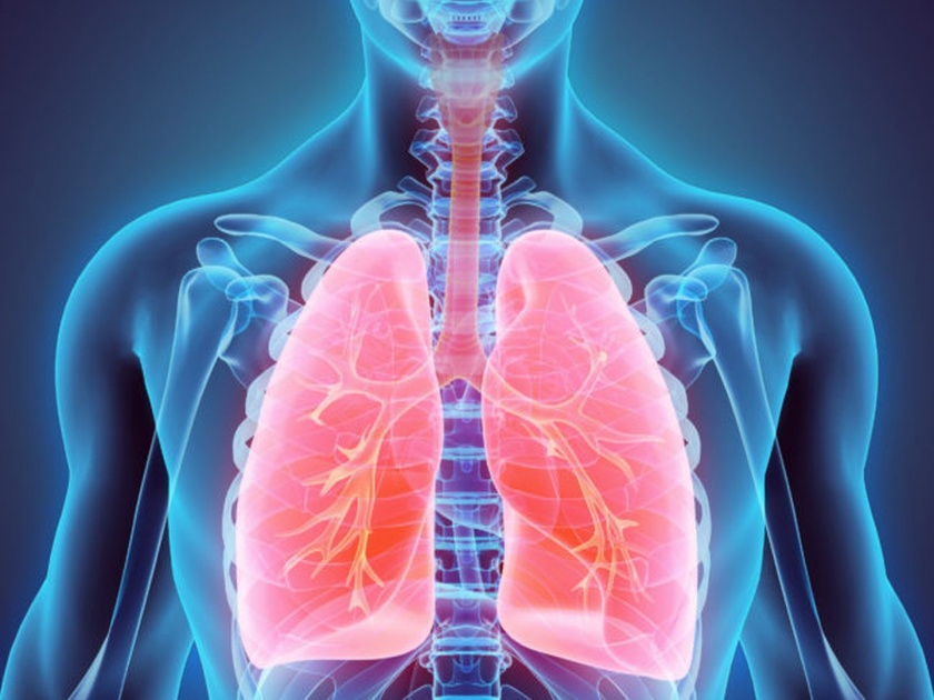 Symptoms and remedies of chest infection or lungs disease myb | फुफ्फुसांच्या आजारांचं कारण ठरू शकतं चेस्ट इन्फेक्शन; जाणून घ्या लक्षणं आणि उपाय