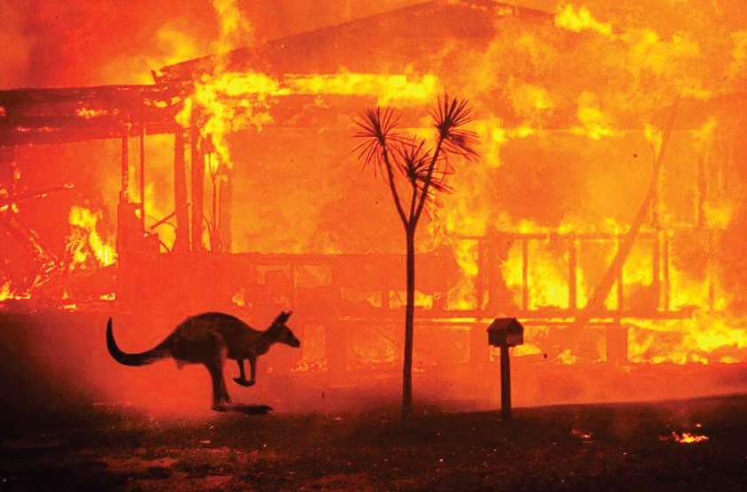 Article on Australia Fire It's a warning to the whole world | ऑस्ट्रेलियातील वणवे ही जगासाठी भयघंटा; संपूर्ण जगालाच तो एक इशारा