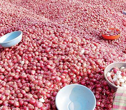 Fear of falling from imported onions; There is no demand from the states for the reduction of rates | आयात केलेला कांदा सडून जाण्याची भीती; दर कमी झाल्याने राज्यांकडून मागणी नाही