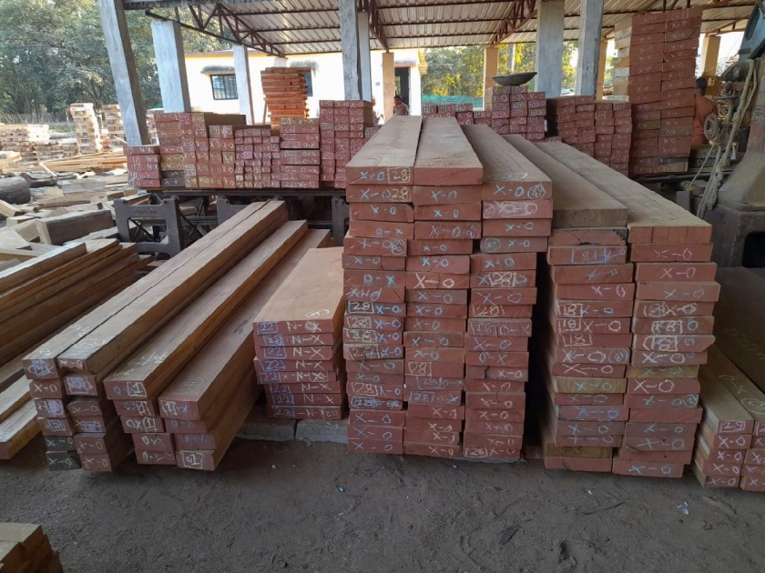 teak from Ballarpur is using in the construction of Ram temple in Ayodhya, 1800 cubic meters of wood will be sent | अयोध्यातील राममंदिराला बल्लारपूरच्या सागवानाची झळाळी!