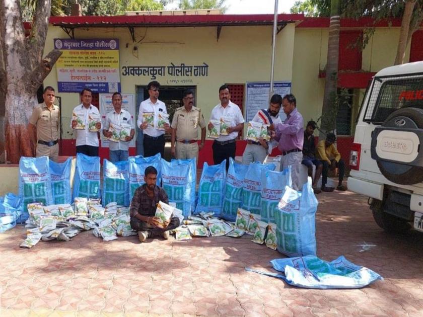about 15 lakh worth of bogus bt cotton seeds seized in nandurbar | महाराष्ट्रात प्रतिबंधीत १५ लाखाचे कापसाचे बोगस बीटी बियाणे जप्त 