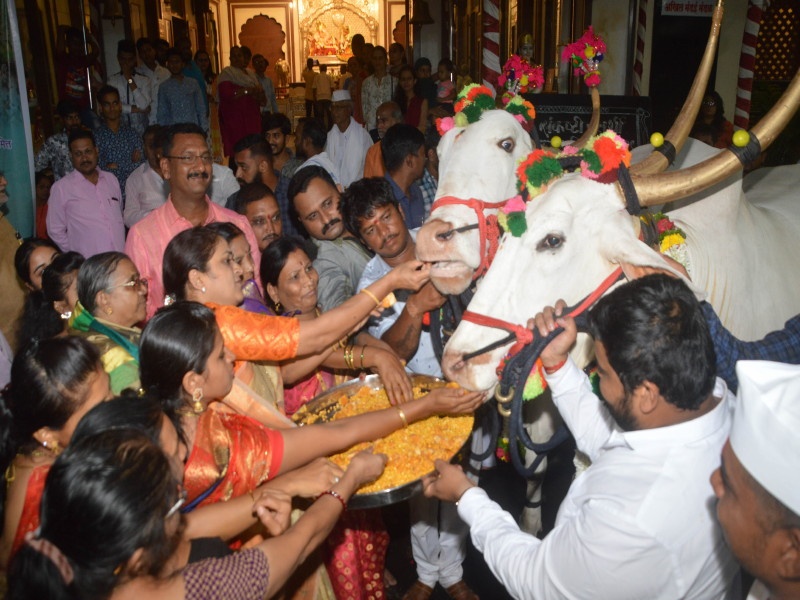 Tukaram Maharaj Palkhi oxes chariot of Sharada Gajanan of Pune | तुकाराम महाराज पालखी रथाच्या सोन्या, सुंदर बैलजोडीची शारदा गजाननाला मानवंदना