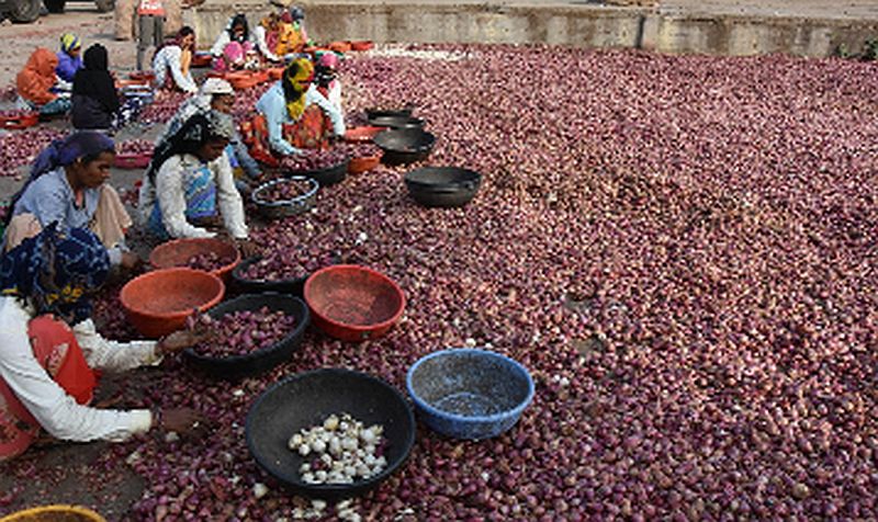 This year the onion reached Shambhari | यंदा कांद्याने गाठली शंभरी