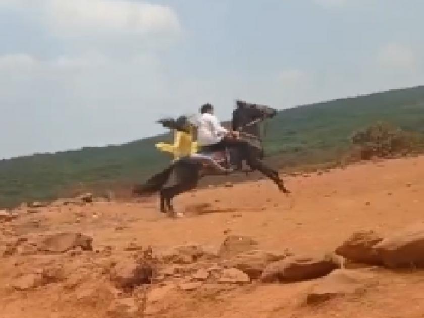 Brother and sister injured after falling from horse in Mahabaleshwar | महाबळेश्वरमध्ये घोड्यावरून पडून बहीण-भाऊ जखमी, घटनेचा व्हिडीओ व्हायरल